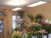 carmen-fiori carmen-fiori